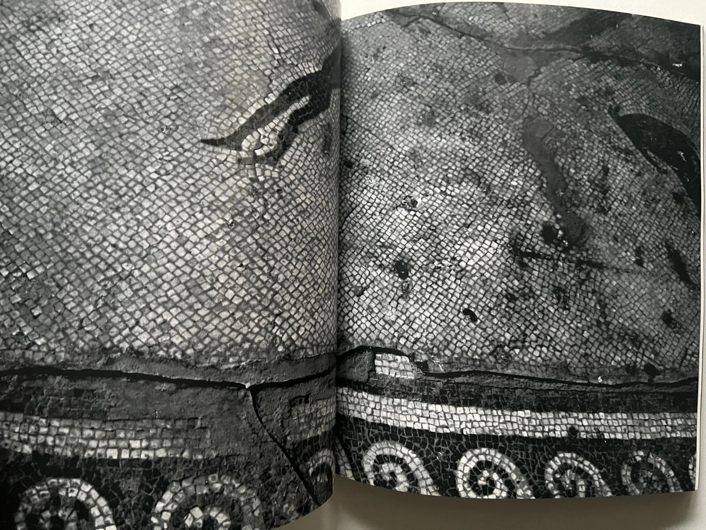 HERCULANEUM MARCELLO DI DONATO 2008 LIBRO FOTOGRAFICO ERCOLANO