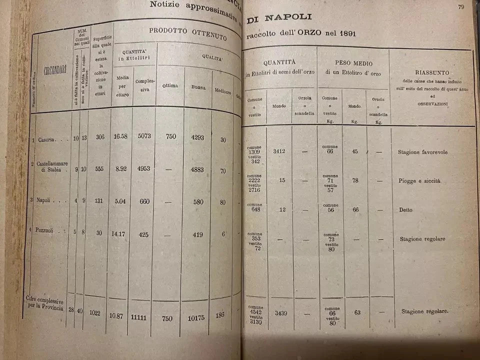 FOGLIO PERIODICO DELLA PREFETTURA DI NAPOLI ANNO 1892 ANNATA COMPLETA