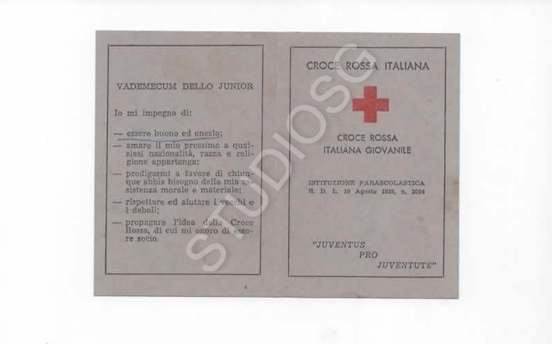 TESSERA CROCE ROSSA ITALIANA GIOVANILE 1957 NOCERA INFERIORE SALERNO BOLLINO