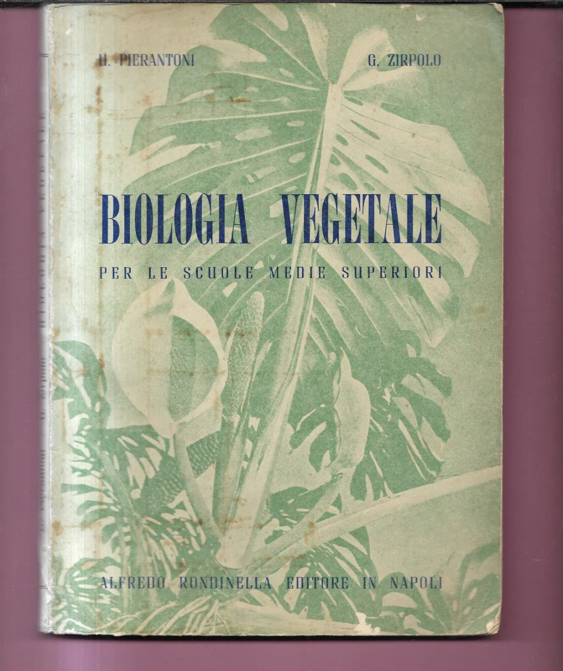 BIOLOGIA VEGETALE PIERANTONI - ZIRPOLO A. RONDINELLA EDITORE