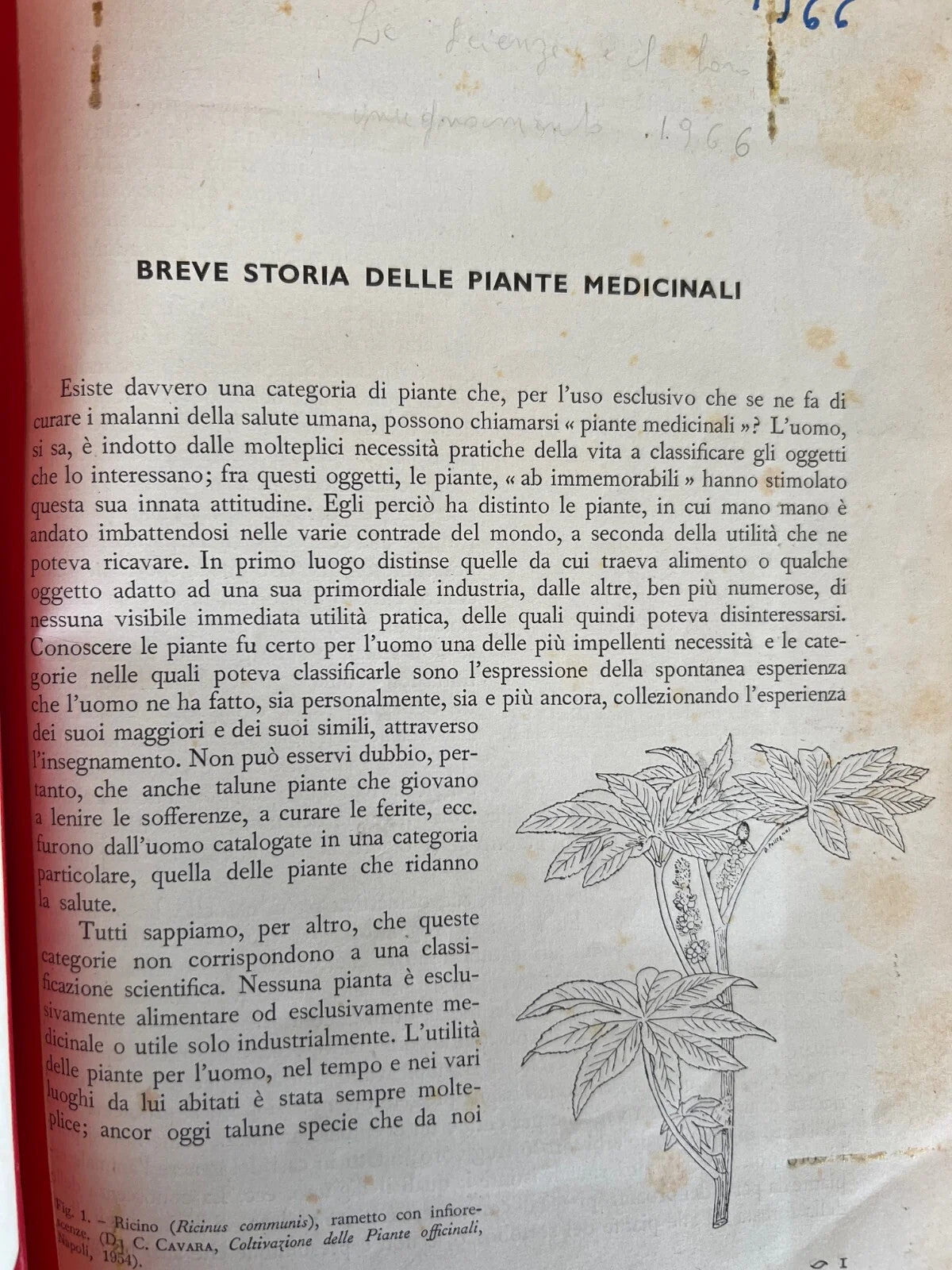 LE SCIENZE E IL LORO INSEGNAMENTO RIVISTA PER DOCENTI E CULTORI 1966 ANNATA COMP