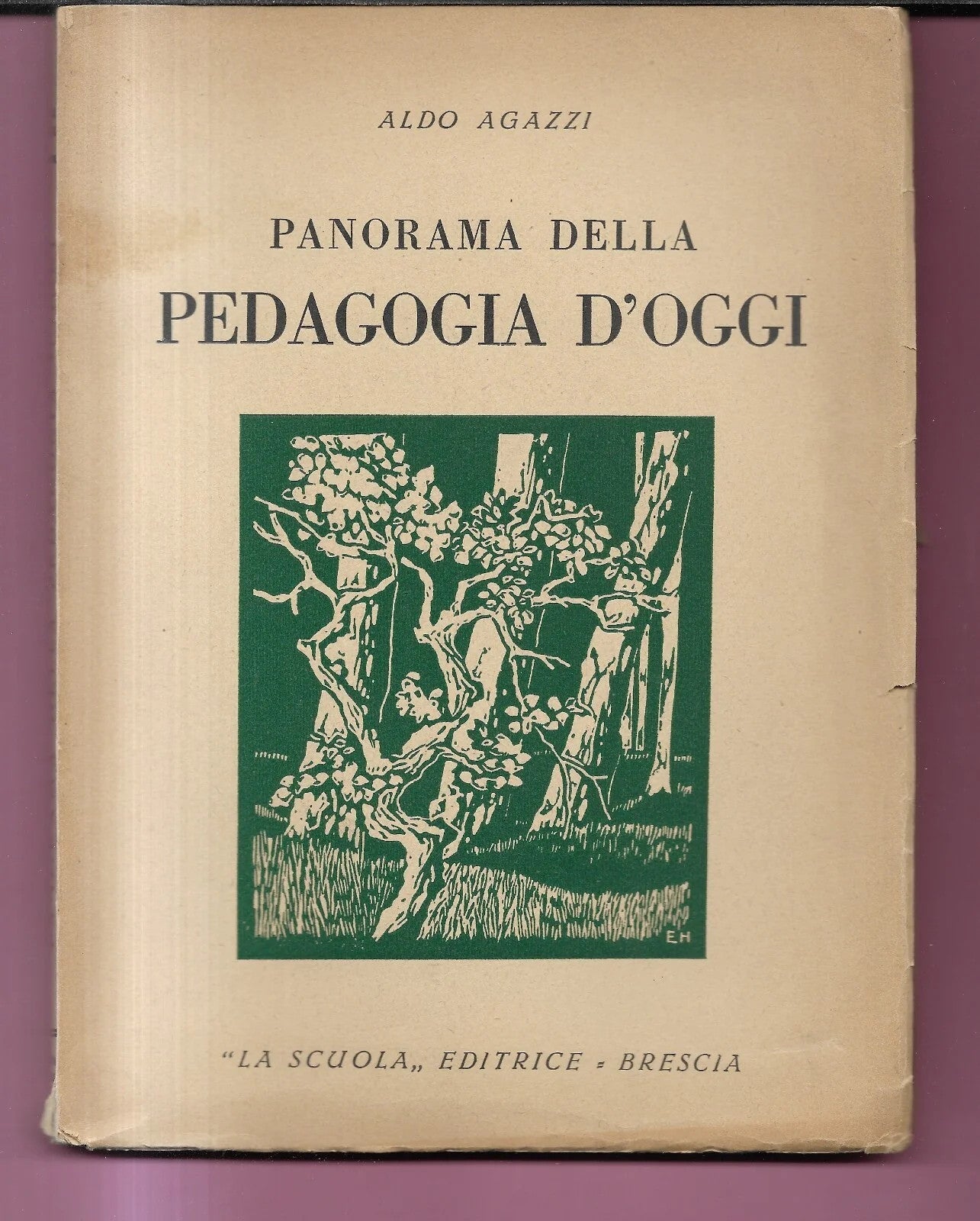 ALDO AGAZZI PANORAMA DELLA PEDAGOGIA D'OGGI 1948 LA SCUOLA EDITRICE INTONSO