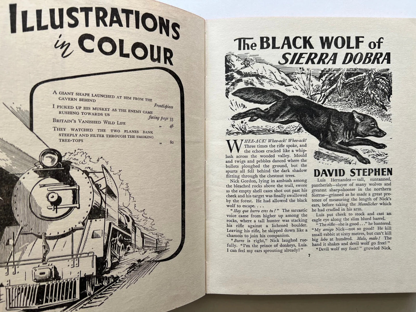 COLLINS BOYS' ANNUAL 1955 ILUSTRATO FUMETTI