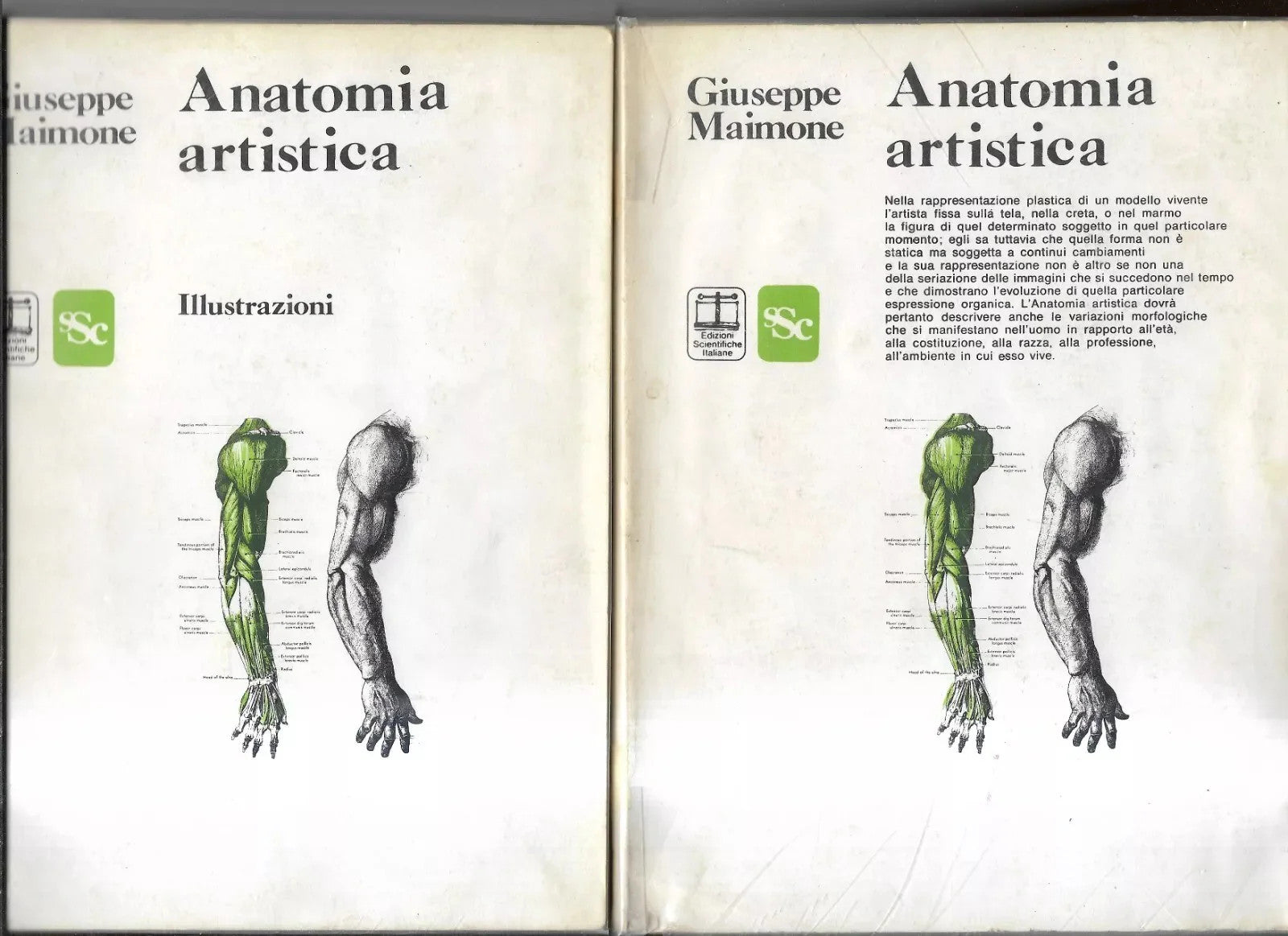 GIUSEPPE MAIMONE ANATOMIA ARTISTICA VOL. I TESTO E TAVOLE EDIZ SCIENTIFICHE 1975