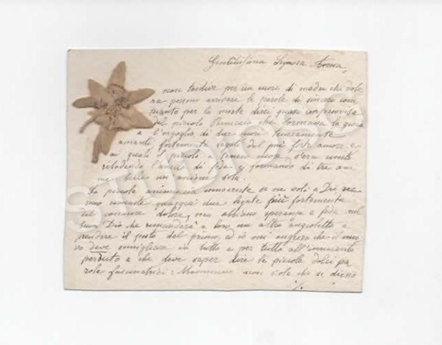 1926 STELLA ALPINA SU LETTERA DI CONDOGLIANZE PERDITA FIGLIO BIVONA (AG)