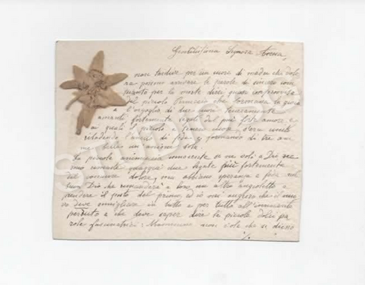 1926 STELLA ALPINA SU LETTERA DI CONDOGLIANZE PERDITA FIGLIO BIVONA (AG)