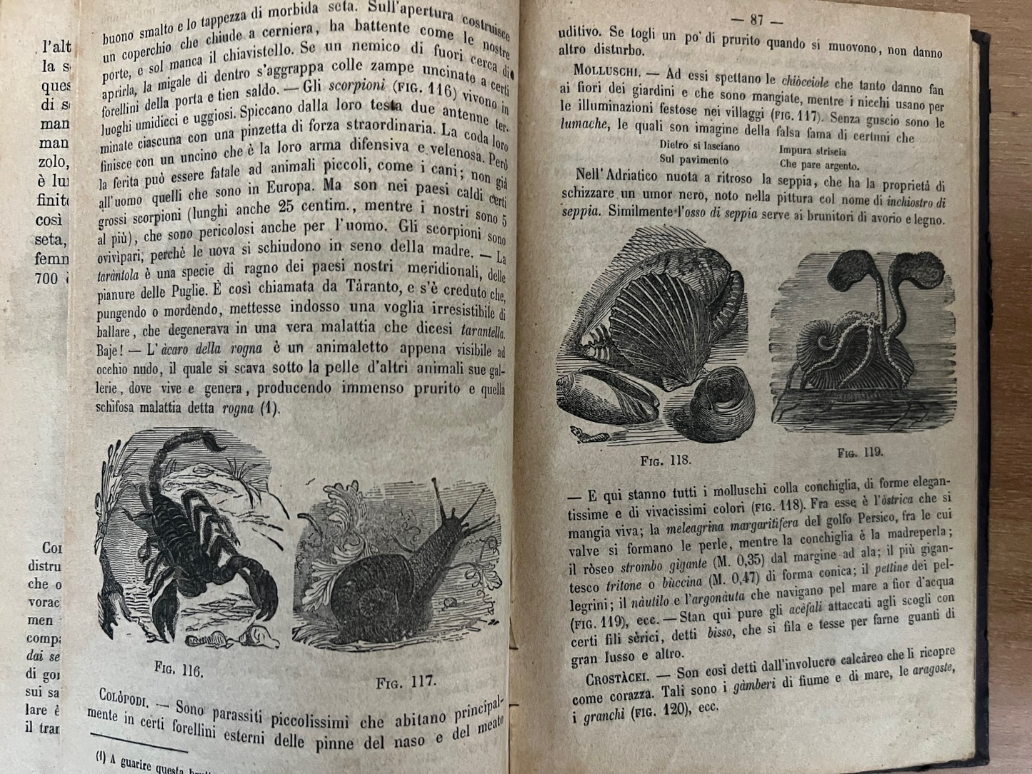 LA MORALE PRATICA DOVERI ESPOSTI ALLE GIOVINETTE + LA BUONA GIANNINA 1866 ILLUST