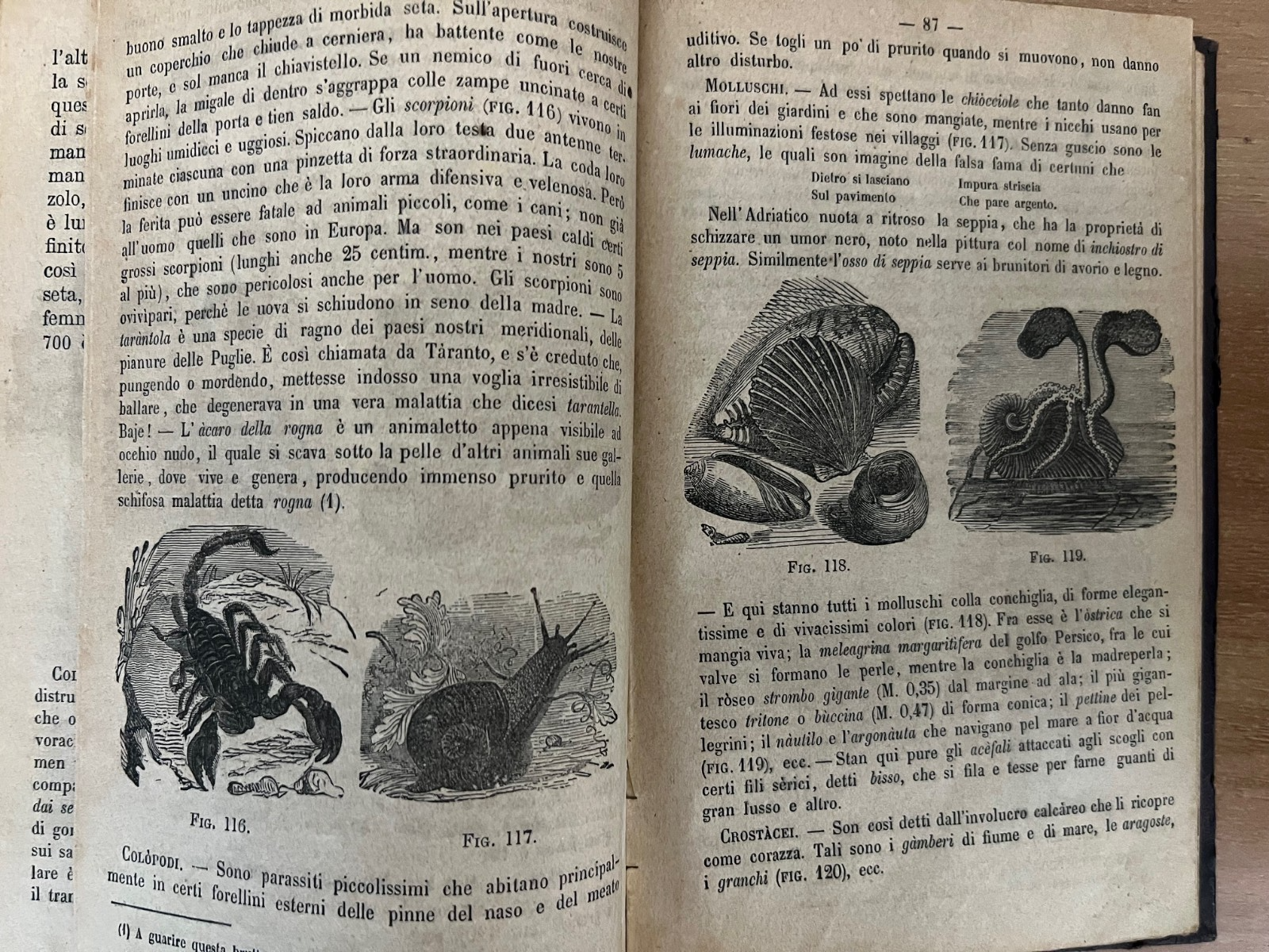 LA MORALE PRATICA DOVERI ESPOSTI ALLE GIOVINETTE + LA BUONA GIANNINA 1866 ILLUST