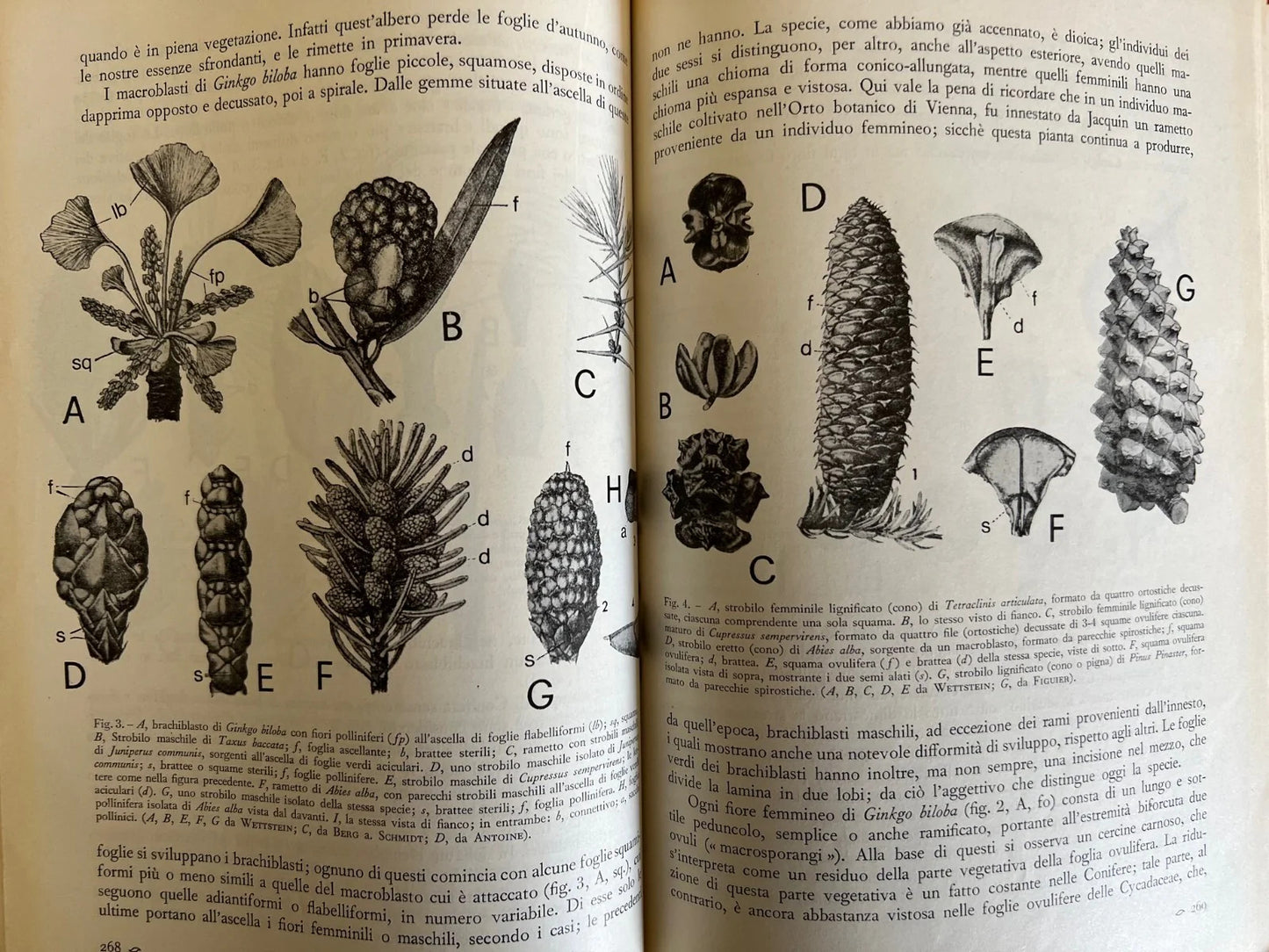 LE SCIENZE E IL LORO INSEGNAMENTO RIVISTA PER DOCENTI E CULTORI 1966 ANNATA COMP