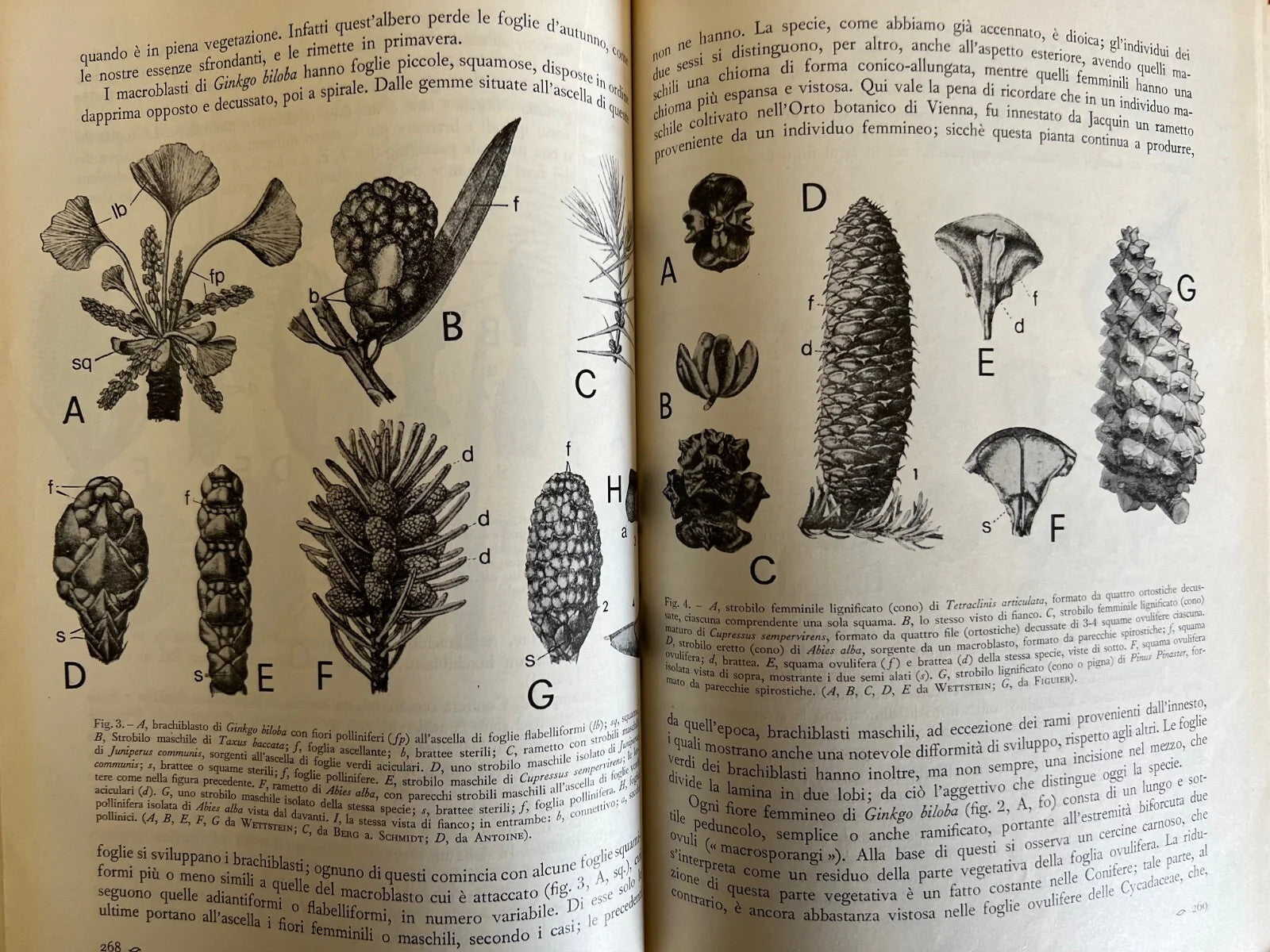LE SCIENZE E IL LORO INSEGNAMENTO RIVISTA PER DOCENTI E CULTORI 1966 ANNATA COMP