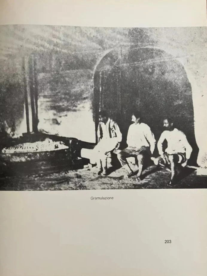 GRAGNANO DEI MACCARONI - PROFILO STORICO , 1983 BIBLIOTECA COMUNALE DI GRAGNANO