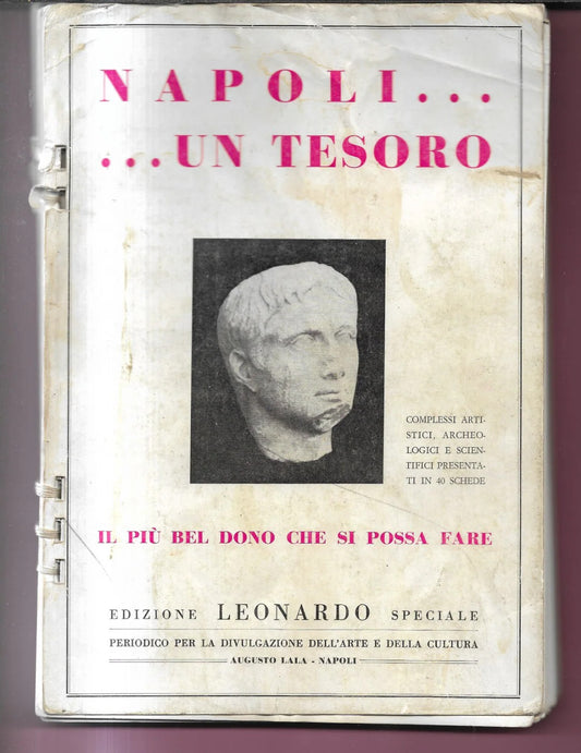 NAPOLI UN TESORO COMPLESSI ARTISTICI ARCHEOLOGICI E SCIENTIFICI IN 4O SCHEDE