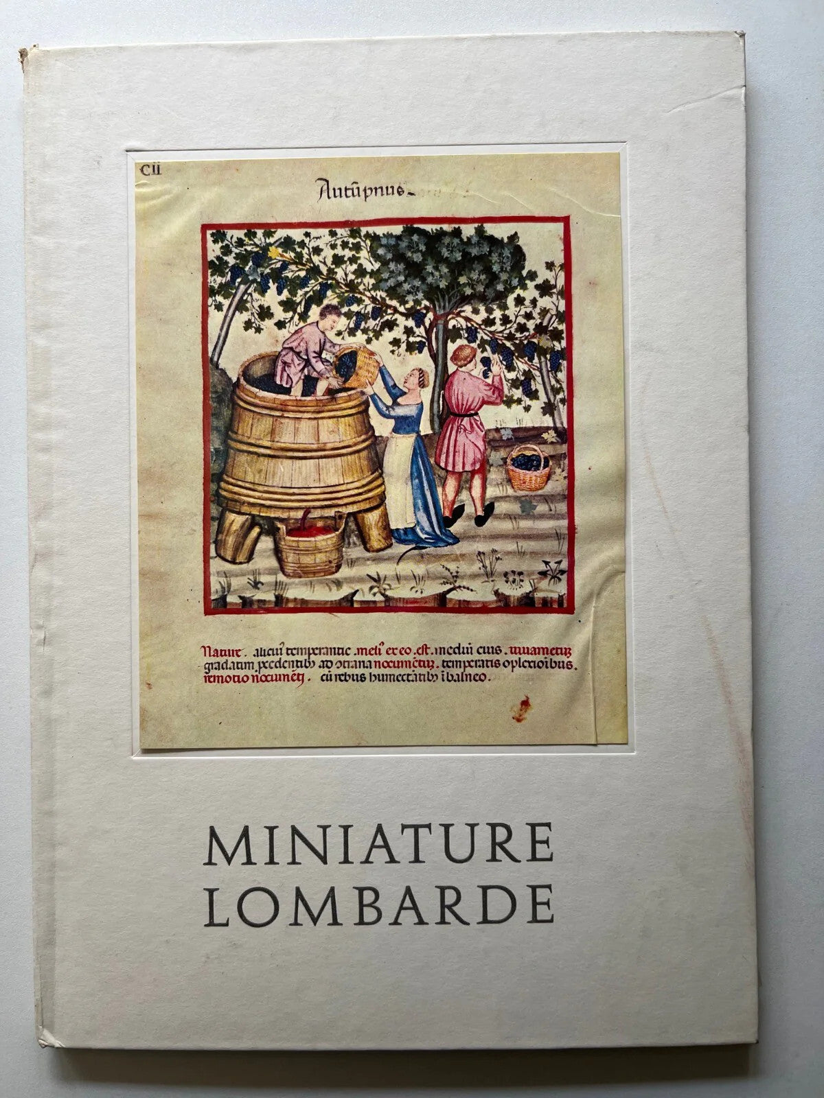MINIATURE LOMBARDE A CURA DI MIRIAM BONDOLI 1964 VALLARDI PER VISMARA TERAPEUTIC