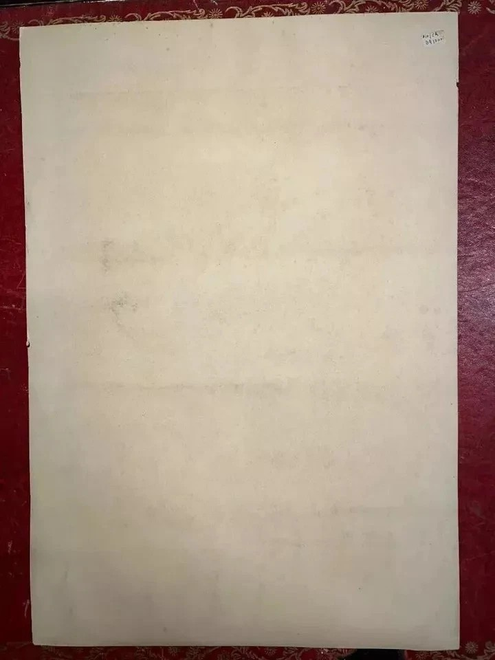 ANTICA LITOGRAFIA COLORATA GRUPPO DI ROSE E IRIS DUPONT -LANGLOIS 1880 CM 48 X33