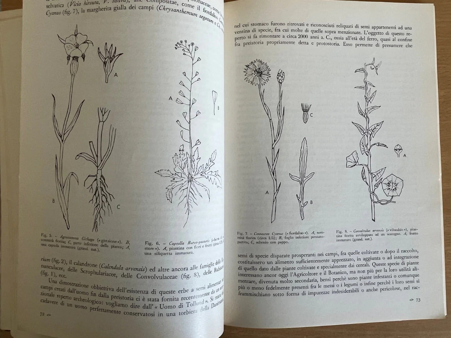 LE SCIENZE E IL LORO INSEGNAMENTO RIVISTA PER DOCENTI E CULTORI 1968 ANNATA COMP