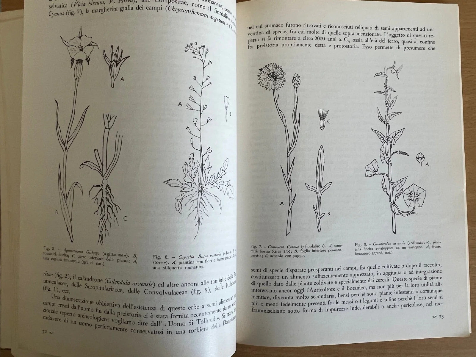 LE SCIENZE E IL LORO INSEGNAMENTO RIVISTA PER DOCENTI E CULTORI 1968 ANNATA COMP