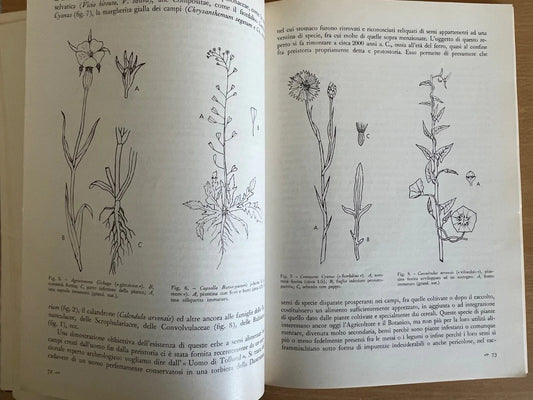 LE SCIENZE E IL LORO INSEGNAMENTO RIVISTA PER DOCENTI E CULTORI 1968 ANNATA COMP