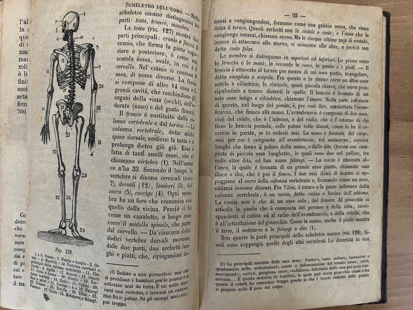 LA MORALE PRATICA DOVERI ESPOSTI ALLE GIOVINETTE + LA BUONA GIANNINA 1866 ILLUST