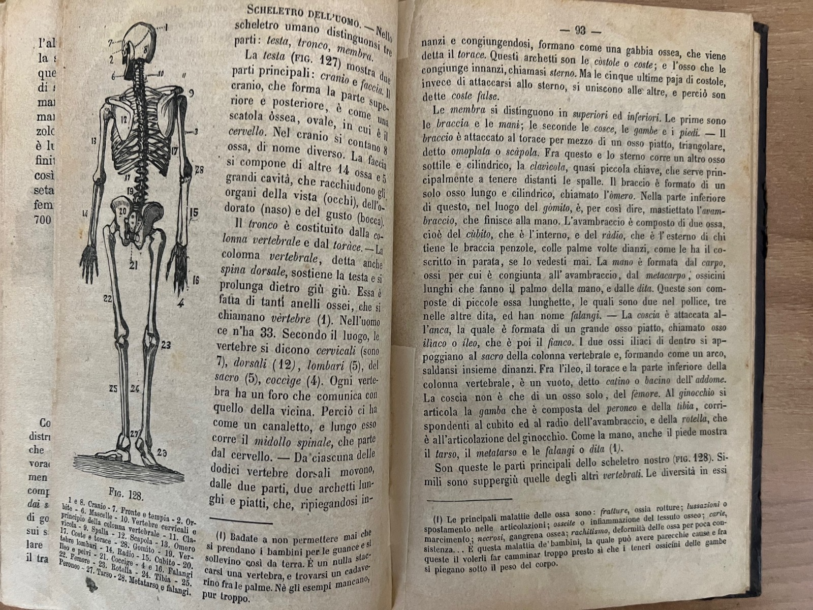 LA MORALE PRATICA DOVERI ESPOSTI ALLE GIOVINETTE + LA BUONA GIANNINA 1866 ILLUST