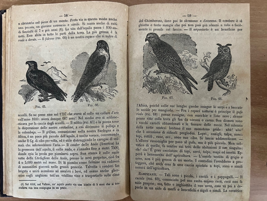 LA MORALE PRATICA DOVERI ESPOSTI ALLE GIOVINETTE + LA BUONA GIANNINA 1866 ILLUST