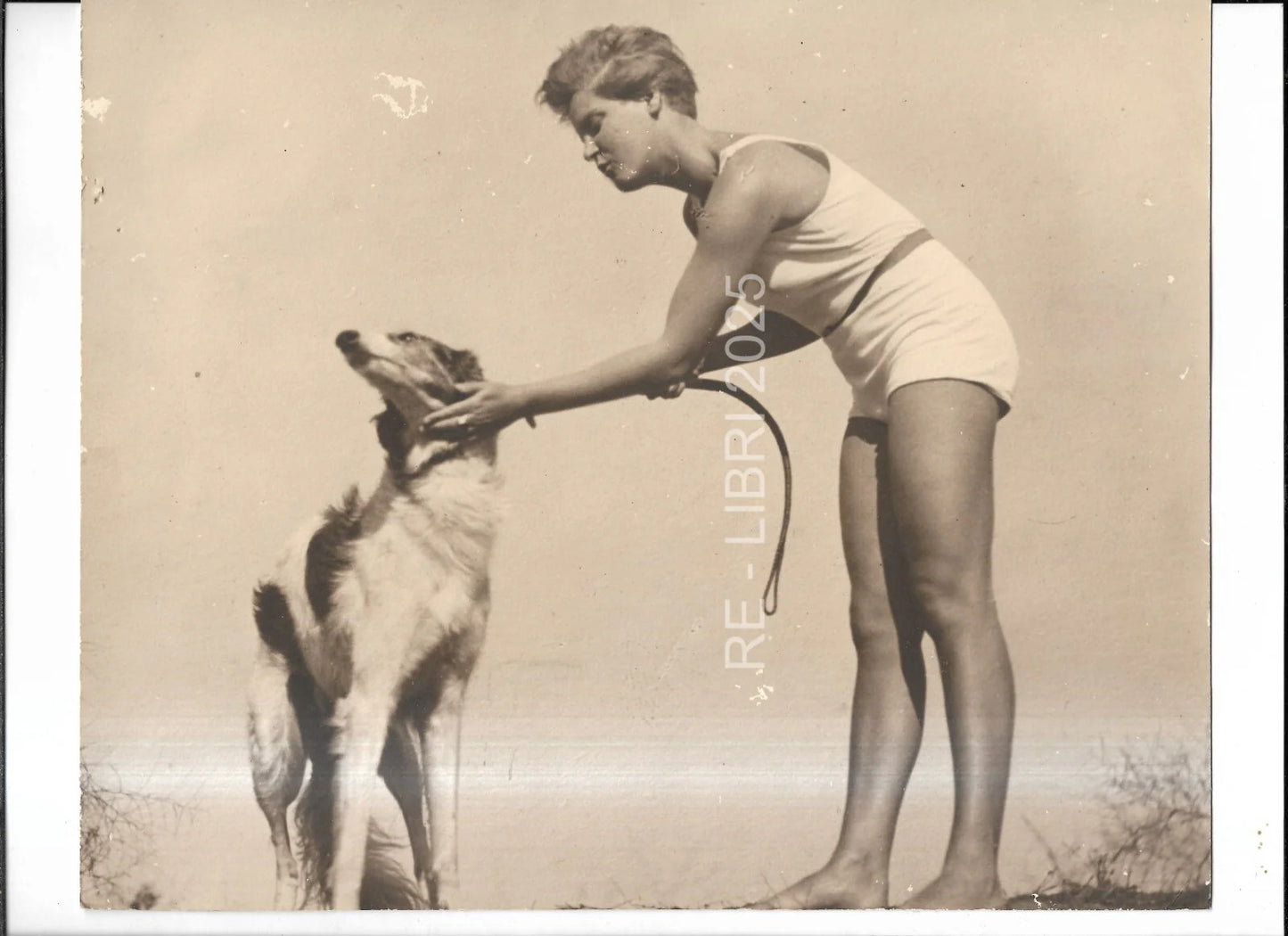 FOTO D'EPOCA GIOVANE DONNA CON CANE LEVRIERO CARTA GEVAERT ANNI '50, CM 26 X 21