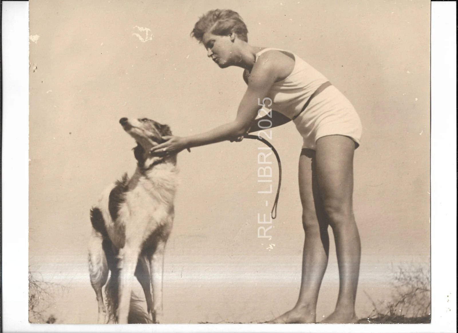 FOTO D'EPOCA GIOVANE DONNA CON CANE LEVRIERO CARTA GEVAERT ANNI '50, CM 26 X 21