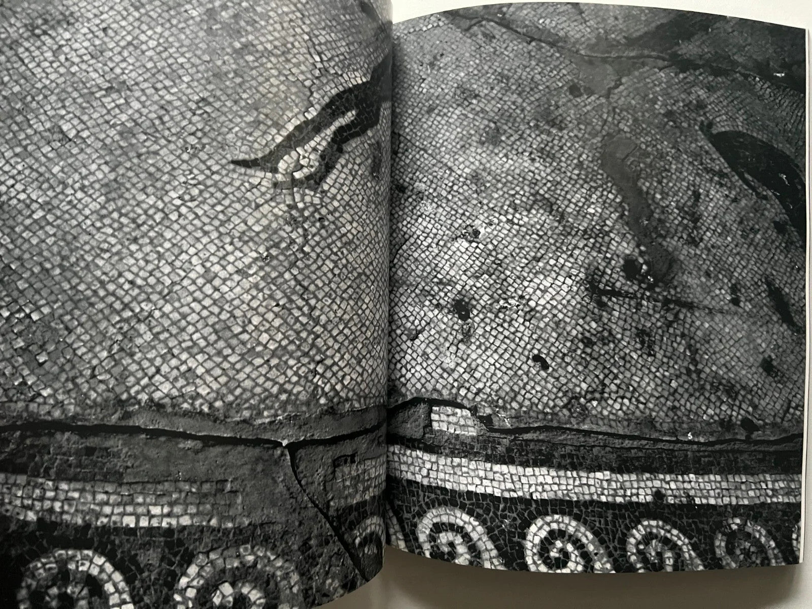 HERCULANEUM MARCELLO DI DONATO 2008 LIBRO FOTOGRAFICO ERCOLANO
