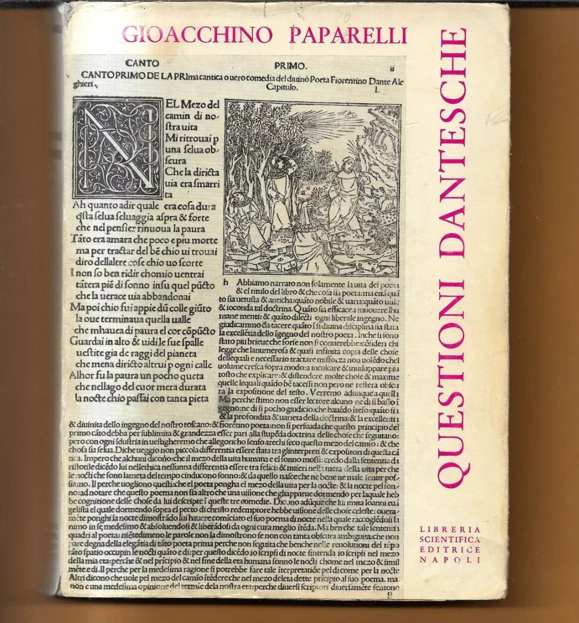 QUESTIONI DANTESCHE GIOACCHINO PAPARELLI 1967 LIBRERIA SCIENTIFICA NAPOLI