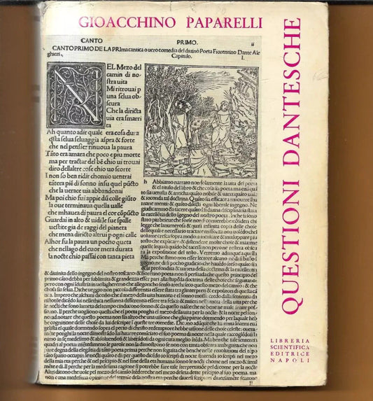 QUESTIONI DANTESCHE GIOACCHINO PAPARELLI 1967 LIBRERIA SCIENTIFICA NAPOLI
