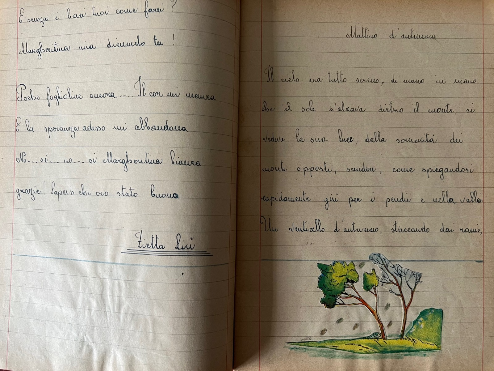 QUADERNO VINTAGE PRIMI '900 POESIE , ALPINISMO, LEOPARDI, MANZONI , DE AMICIS