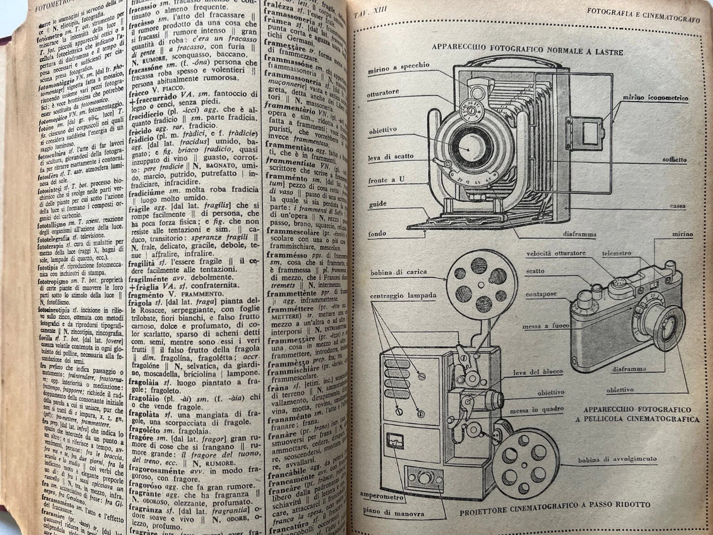 1946 F. PALAZZI NOVISSIMO DIZIONARIO DELLA LINGUA ITALIANA CESCHINA ILLUSTRAZION