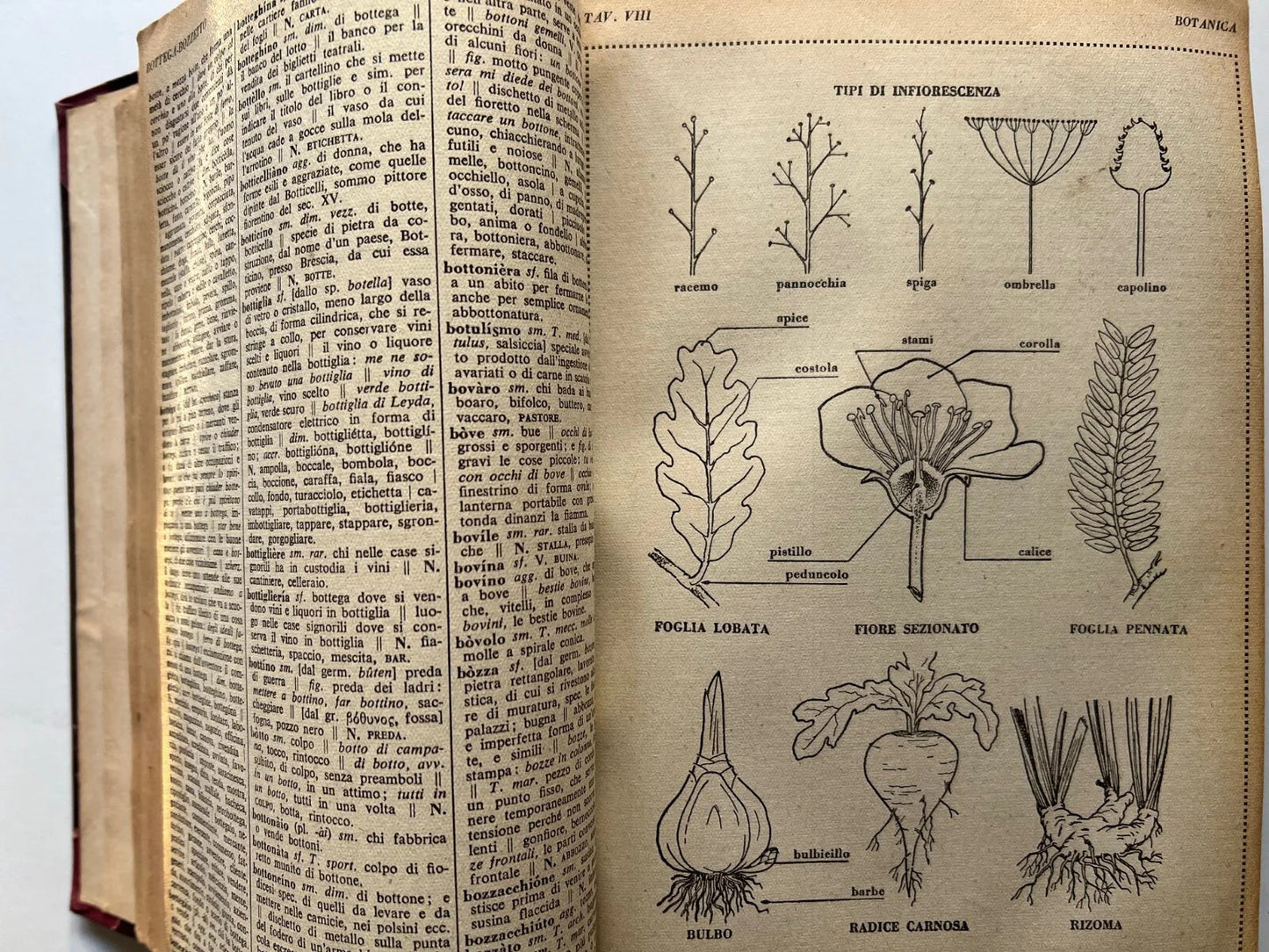 1946 F. PALAZZI NOVISSIMO DIZIONARIO DELLA LINGUA ITALIANA CESCHINA ILLUSTRAZION
