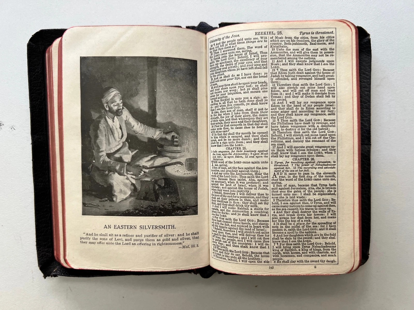 THE PALESTINE PICTORIAL BIBLE - THE HOLY BIBLE ILLUSTRATED 1911 OXFORD PRESS