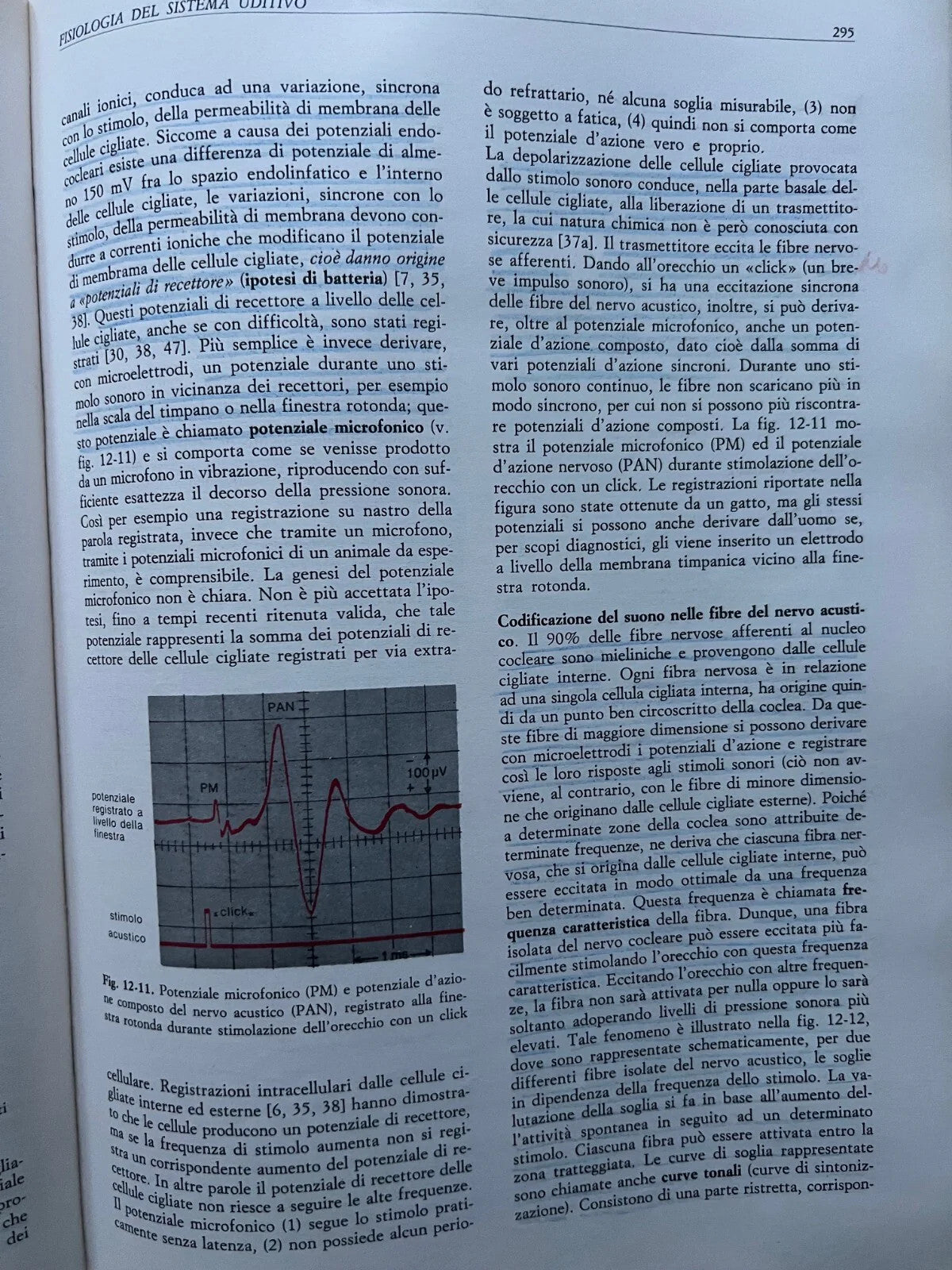 SCHMIDT - THEWS FISIOLOGIA UMANA IDELSON 1992 TERZA EDIZIONE
