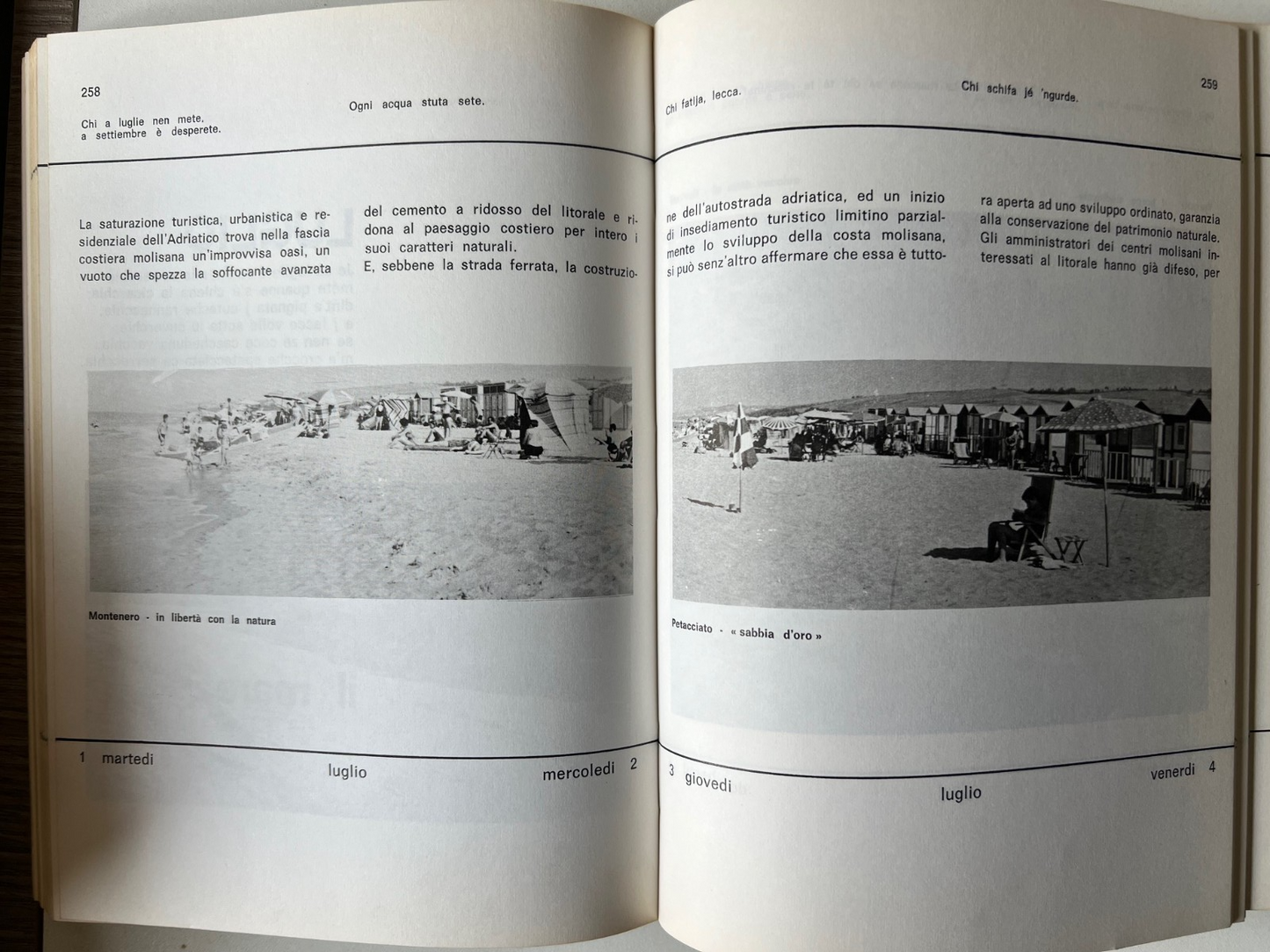 ALMANACCO DEL MOLISE 1969 NOCERA EDITORE ILLUSTRATO