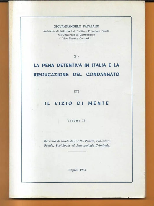 LA PENA DETENTIVA IN ITALIA E LA RIEDUCAZIONE DEL CONDANNATO - IL VIZIO DI MENTE