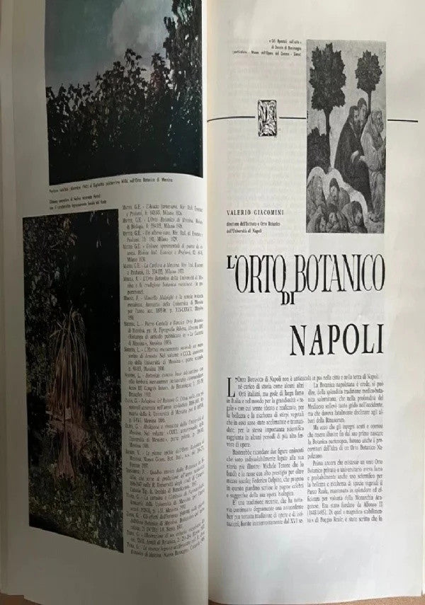 ORTI BOTANICI DELLE UNIVERSITA' ITALIANE NAPOLI 1965
