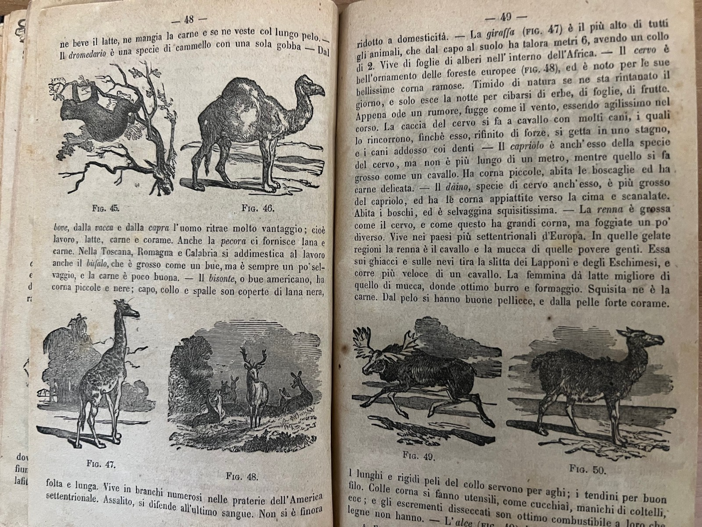 LA MORALE PRATICA DOVERI ESPOSTI ALLE GIOVINETTE + LA BUONA GIANNINA 1866 ILLUST