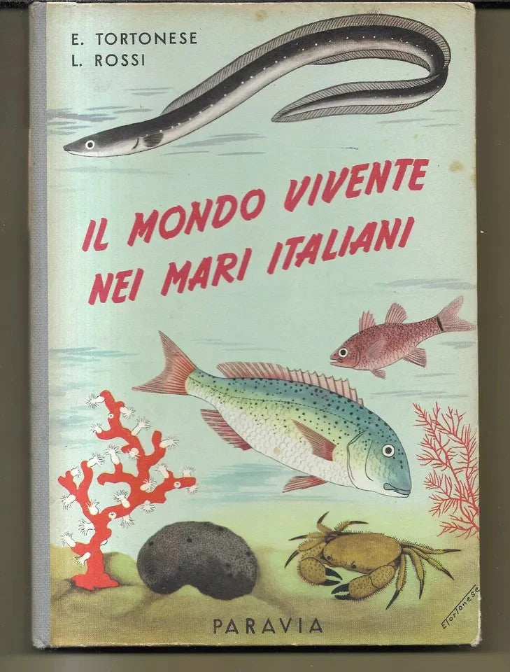 IL MONDO VIVENTE NEI MARI ITALIANI , TORTONESE - ROSSI , PARAVIA 1955 ILLUSTRATO