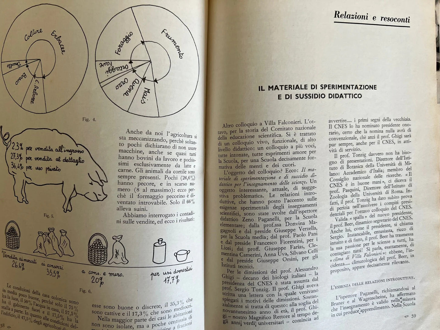 LE SCIENZE E IL LORO INSEGNAMENTO RIVISTA PER DOCENTI E CULTORI 1966 ANNATA COMP
