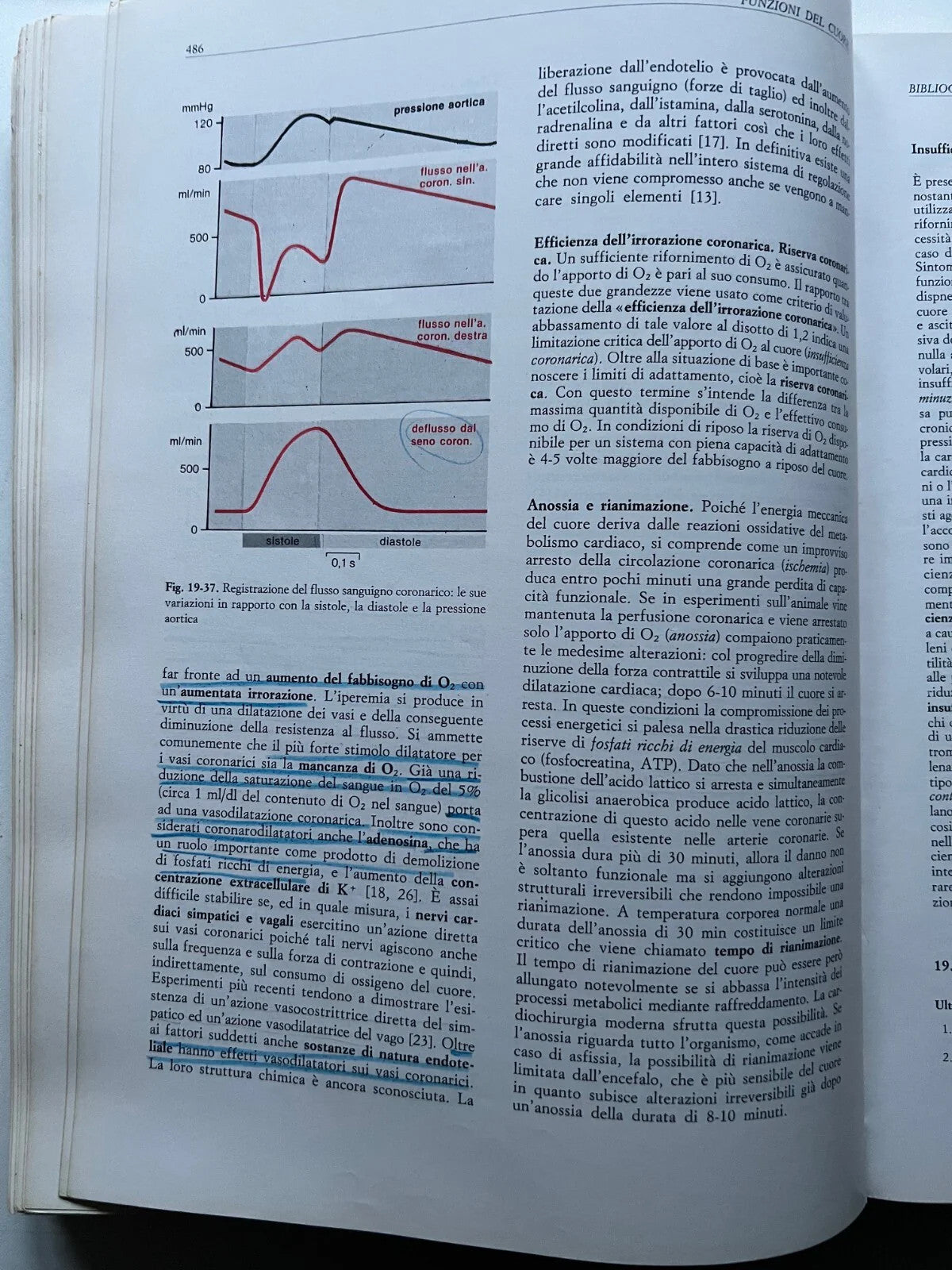 SCHMIDT - THEWS FISIOLOGIA UMANA IDELSON 1992 TERZA EDIZIONE