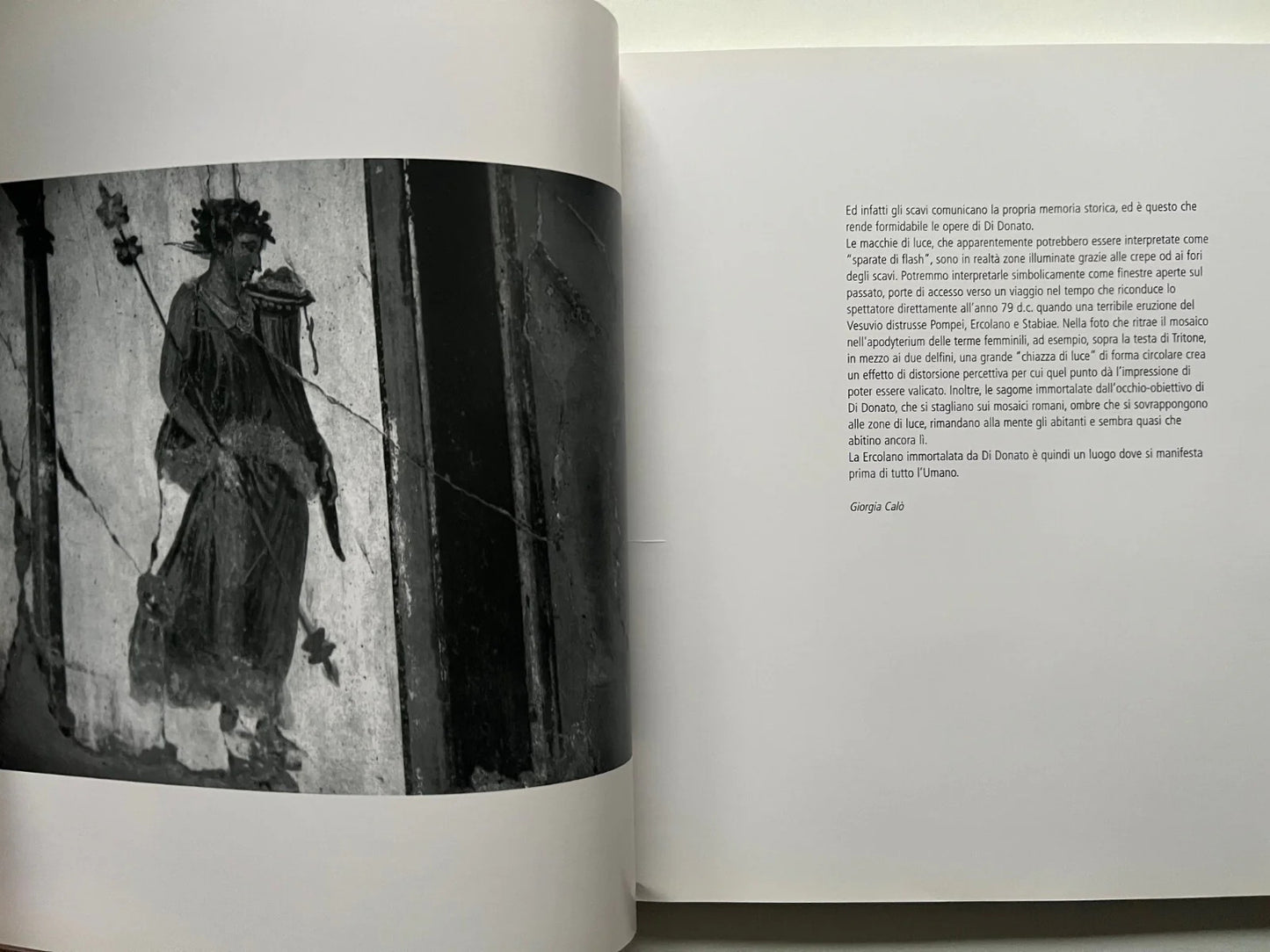 HERCULANEUM MARCELLO DI DONATO 2008 LIBRO FOTOGRAFICO ERCOLANO