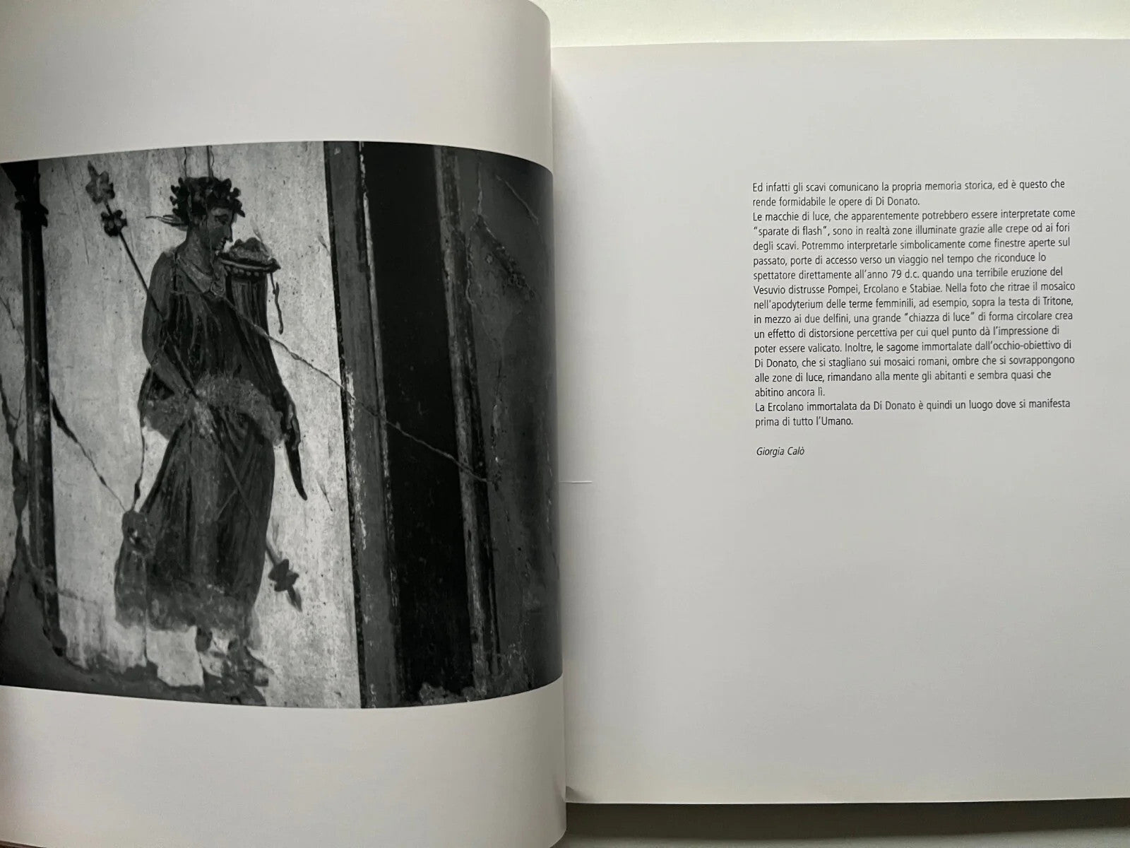 HERCULANEUM MARCELLO DI DONATO 2008 LIBRO FOTOGRAFICO ERCOLANO