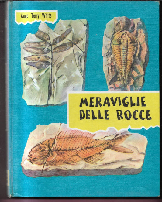 ANNE TERRY WHITE MERAVIGLIE DELLE ROCCE 1960 FABBRI ILLUSTR COZZAGLIO R. MARTIN