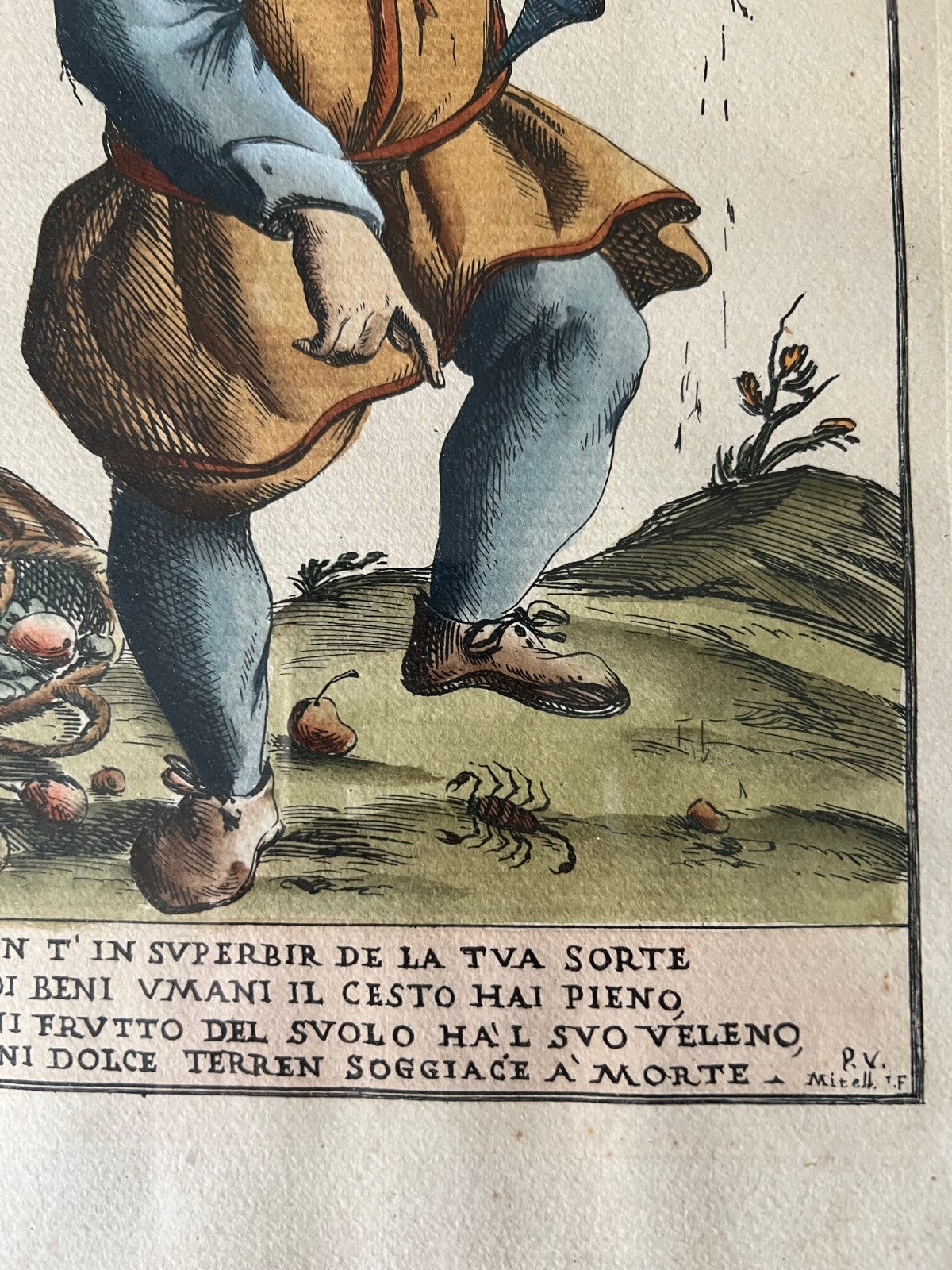 INCISIONE ACQUARELLATA OTTOBRE GIUSEPPE MARIA MITELLI 45 X 35 SCORPIONE