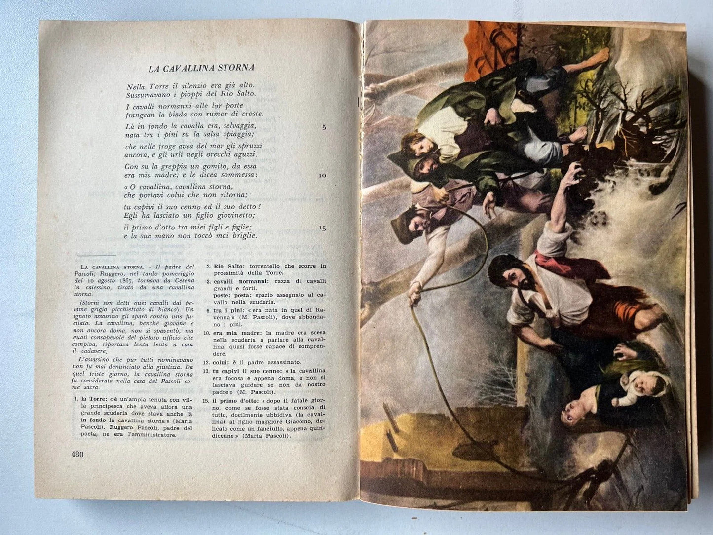 COLLI FIORITI ANTOLOGIA PER LA SCUOLA MEDIA 1955 ILLUSTRATA EDITRICE A. e C.