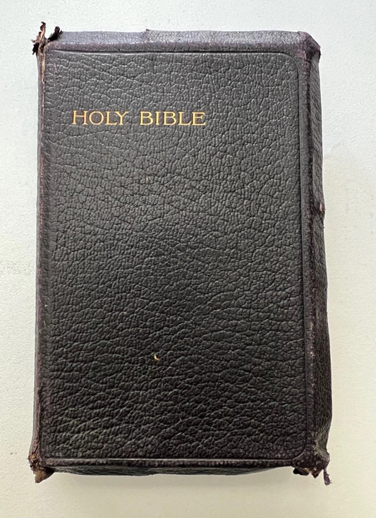 THE PALESTINE PICTORIAL BIBLE - THE HOLY BIBLE ILLUSTRATED 1911 OXFORD PRESS