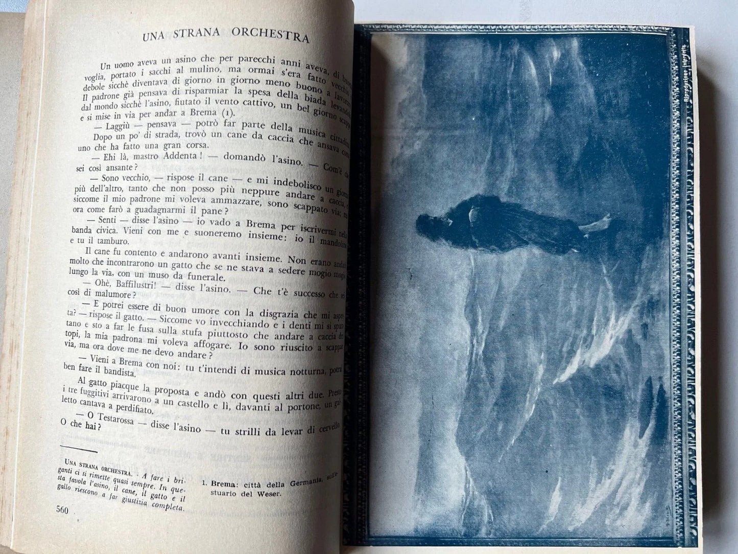 COLLI FIORITI ANTOLOGIA PER LA SCUOLA MEDIA 1955 ILLUSTRATA EDITRICE A. e C.