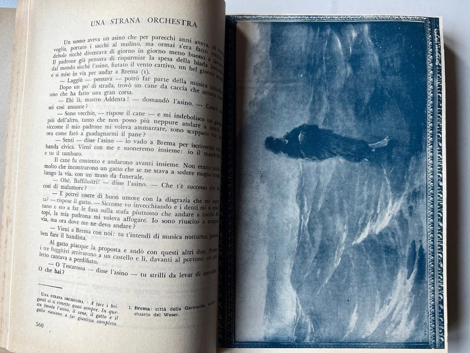 COLLI FIORITI ANTOLOGIA PER LA SCUOLA MEDIA 1955 ILLUSTRATA EDITRICE A. e C.