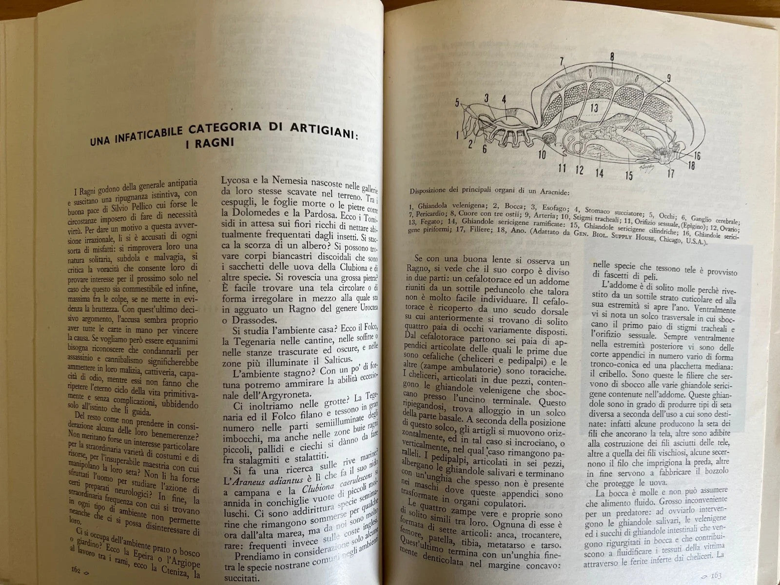 LE SCIENZE E IL LORO INSEGNAMENTO RIVISTA PER DOCENTI E CULTORI 1968 ANNATA COMP
